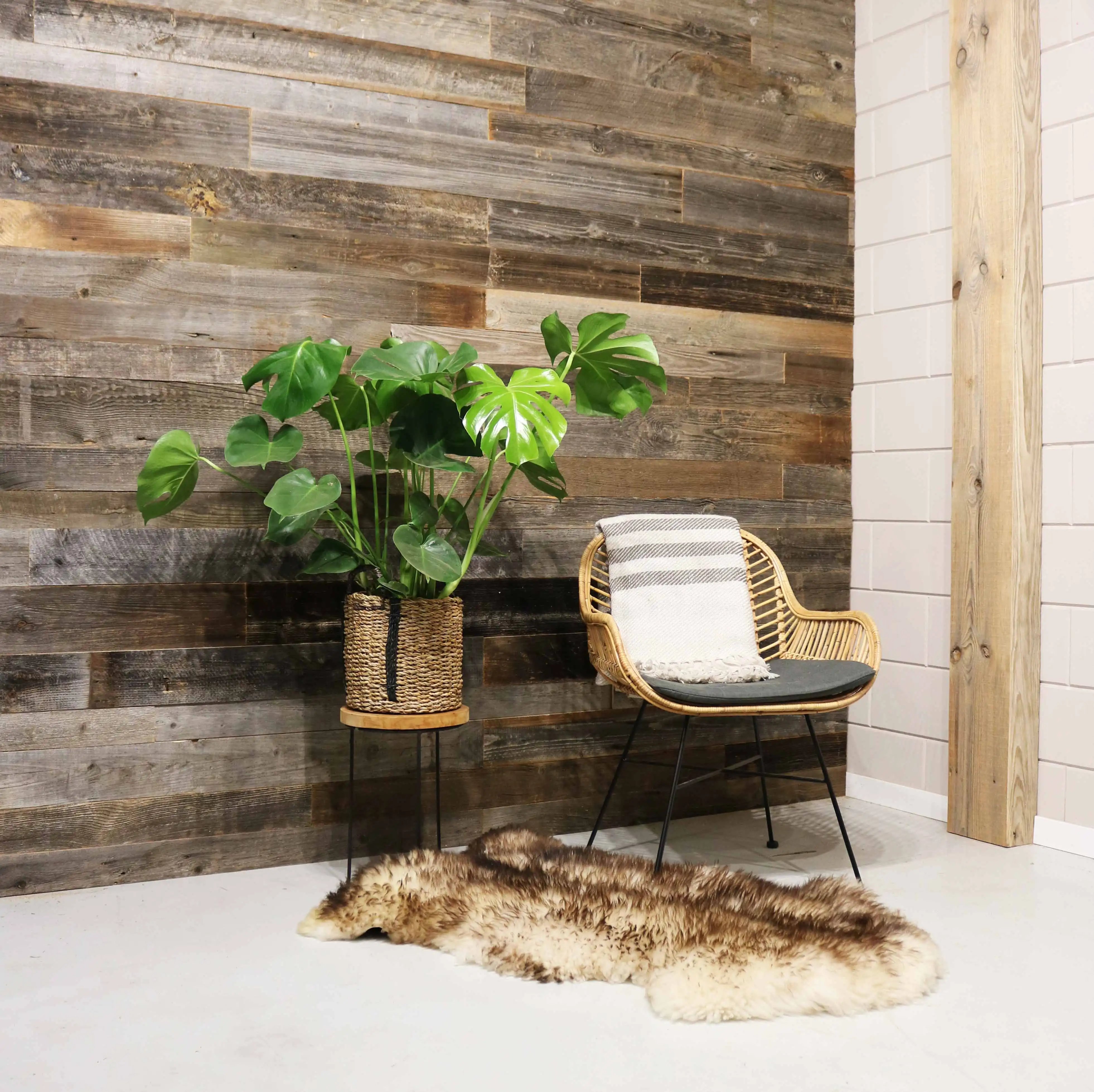 Grenen wandbekleding grijs in een huiselijke setting