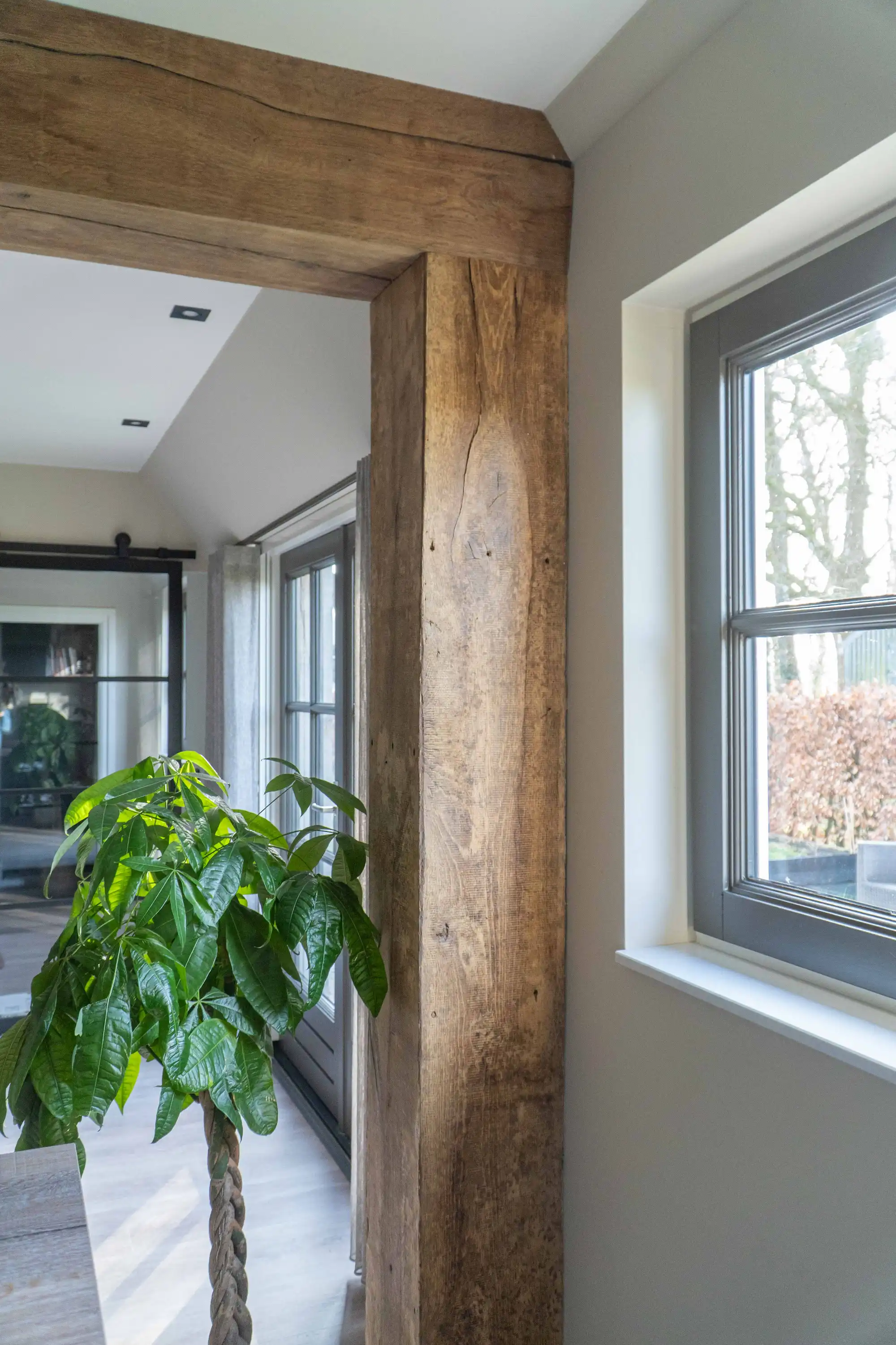 Oud eiken balkbekleding in een sfeervol interieur in Dalfsen, naast een groot raam en groene kamerplant.